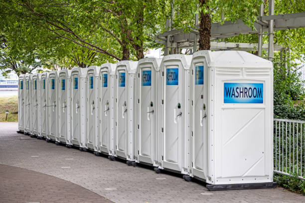 Best Affordable portable toilet rental  in Manito, IL